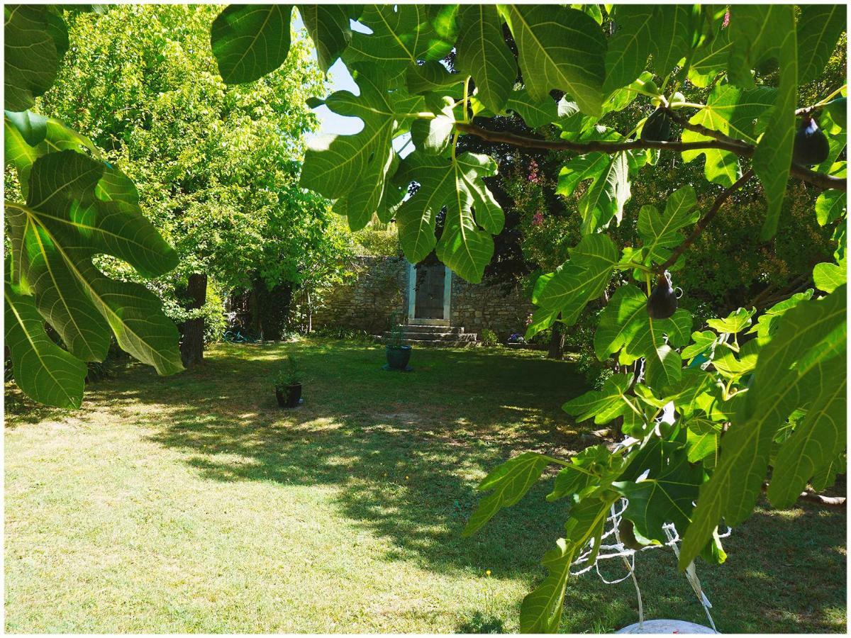 Chambre D'Hote La Romaine Vaison-la-Romaine Buitenkant foto